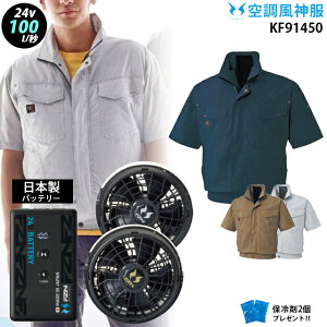 �y �� ���_ �� 24V ���{�� �zKF91450 �ő�100L/�b ���� / �t�@�� ( �ȂȂ� / �t���b�g ) / �o�b�e���[ ( RD9690PJ / RD9691NJ ) / �ۗ��2�� �T���G�X ��100�� �n�� �΂ɋ���