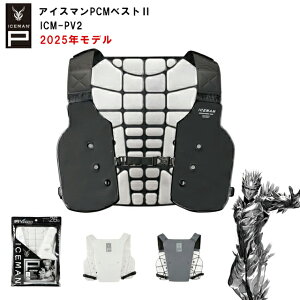 y [ / 2025Nf z ACX} PCMxXg2 [ ICM-PV2 ] ACXxXg ╞ R^ Y'sGODJAPAN n[lXΉ ^