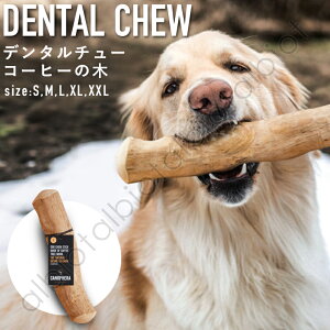 CANOPHERA LmtB f^`[ R[q[̖