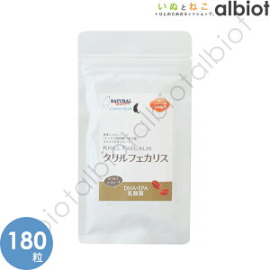 i`n[xXg Jg[[h NtFJXy1115E1ő100%|CgobNz