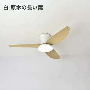 _25NǔŁ^ V[Ot@Cg  LED t @Cg  EFC Ɩ VƖ Rt F  3H H̉]x ԐڏƖ ԗp _CjO