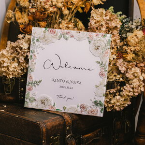 EFJ{[h tBI[ 24cm ` AN /t pX^ht ZPN34