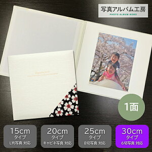 ʐ^䎆 vgt dグya_Eqz6 1 ܂ ZD9