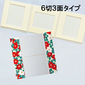 ʐ^䎆 Lbgyiwai ցz6 3 䎆@30×30cm ܂ U[Ƃ߂񐶒n~bNX eF37-3 iwai TSUBAKI