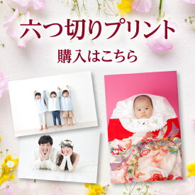【月間優良ショップ受賞】 プロプリント出力／6つ切り（A4より縦がやや短めのサイズ感）　ZP6tu