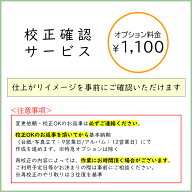 校正確認オプション