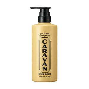 yŒZ/K̔X/wOizDEMI f~ Lo tbVVv[ 490ml j@wAPA@Vv[@PA@PA