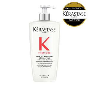 y10%OFFΏہzPM o fJVt@C 500mLbPX^[[ v~G[bVv[ v~A_[WPA