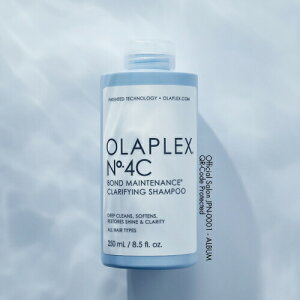 yK̔X/ŒZzIvbNX OLAPLEX No.4C Nt@COVv[ | 250ml NWO Vv[ u[` _[WPA Ki wA   c P GCWO