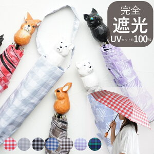 ܂肽ݎP O99.9%Jbg  ؒ蓮  ˂ 낭 ԕ JP fB[X Jp y ALCEDO v P Vv i`   킢 a 