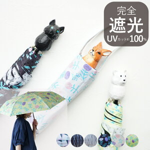 ܂肽ݎP O99.9%Jbg  ؒ蓮  ˂ 낭 JP fB[X Jp y ALCEDO v P Vv i`   킢 a v[