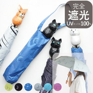 ܂肽ݎP O99.9%Jbg  ؒ蓮  ˂ 낭 JP fB[X Jp y ALCEDO v P Vv i`   킢 a v[