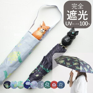 ܂肽ݎP O99.9%Jbg  ؒ蓮  ˂ 낭 JP fB[X Jp y ALCEDO v P Vv i`   킢 a v[