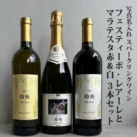 出産内祝 出産内祝い 内祝 内祝い お祝い ギフト 赤ちゃん ワイン 可愛い ラベル 木箱入り ワインセット 高級 記念日 ボトル 写真名入れ マラテスタ 赤 白 スパークリングワイン フェスティーボ・レアーレ 桐箱入り750ml イタリアワイン飲み比べ 3本セット al403