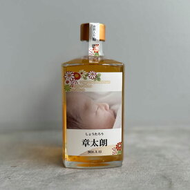 出産内祝 出産内祝い 内祝 内祝い お祝い 御祝 プレゼント ギフト 赤ちゃん 焼酎 可愛い オリジナル ラベル 化粧箱入り プレゼント 父の日 母の日 記念日 金泊 フォトボトル 写真 写真入り 写真名入れ 金箔入り 梅酒 のんのこ 角瓶 500ml リキュール al209　お酒