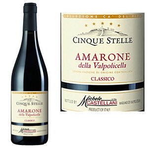 A}[lEfbE@|`FbENVR DOCG "`NGEXeb" 2020Amarone della Valpolicella Classico DOCG hCinque Stelleh 2020C^A ԃC C t{fB Rr[i F