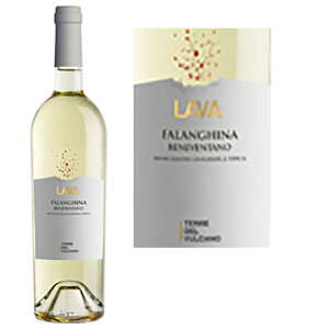 Lava Campania Falanghina IGT 2024[@ Jp[j t@M[i IGT C^A C C wine  Jp[j xlF^[m 12.5 h ~fBA{fB AR[ Mtg v`M