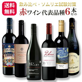 赤ワイン飲み比べ／ソムリエ・ワインエキスパート試験対策赤ワイン代表品種6本セットテンプラニーリョ マルベック ピノノワール カベルネソーヴィニヨン メルロ グルナッシュ