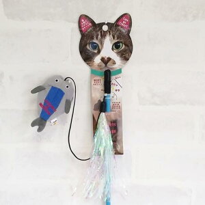 BESTEVER (xXgGo[) L炵@qL