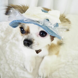 ̖XqyGarden of EdenzK[[T}[nbg S2큄