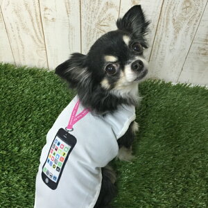 ySALEzN[N`[ N[×N[vX X}zAv^N[2016]