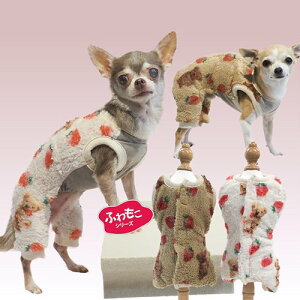 yCoo CouturezN[N`[@ewc@PiPixAxNJo[I[@SS`LTTCY