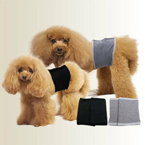 N[N`[ Tera Herz Waniewcj xNeoh@̎qp