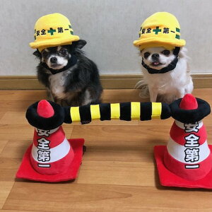 Swbg / MTCY - HX@̓V[Y -