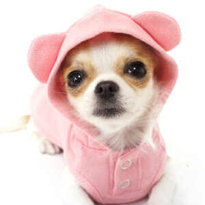 ySALEzyCoo CouturezN[N`[ q[gHUG ME p[J[