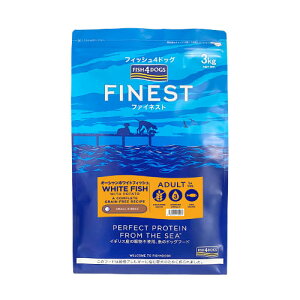 yFISH4DOGSztBbV4hbO@t@ClXg@I[VzCgtBbV@3kg