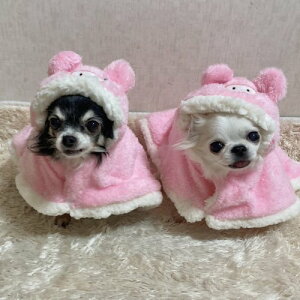 ѕz@ԂuPbg/|`@STCYm2023n