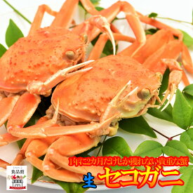 楽天市場 香箱ガニの通販