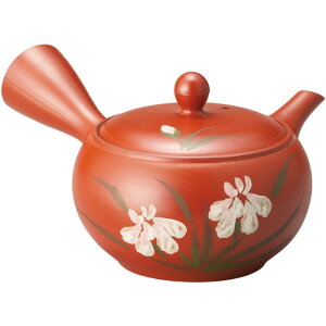 �}�{ �|�b�g ��D����ߋ}�{�i����₩�A�~�j ���Z�� ���{�� ���� ������� ���킢�� �H��@�Ή� �J�t�F ���q�p �Ɩ��p ����