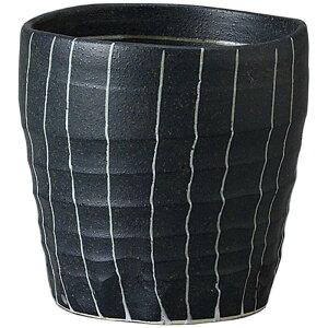 ^u[ XgCvij}`Jbv ĒOX t[Jbv Z { ĒJbv bNJbv rAJbv r[OX rAOX  킢 H@Ή dq