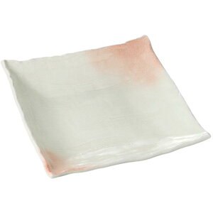 M M M 퐶ߊpM 傫ȎM 傫 v[g  { Z H@Ή dqWΉ