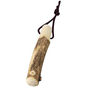 R肱 9cm 肱_ _ 肱 S} ܂ Ӗ RM 蕲 ؐ肱