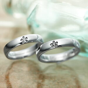 yAO Vo[ 󖳗 Flower FISS-ST03R (FISS-^)  t[ fUC yA w  21 20 19 18 17 16 15 14 13 12 11 9 7 傫TCY  1NLO NLO 