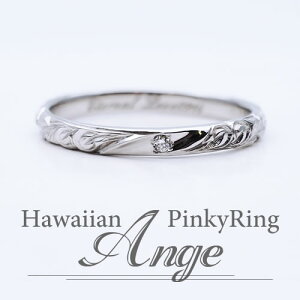 sL[O Ange(AWF) -Hawaiian- nCA 28-1767-K10WG Pi  Ή 10K K10WG zCgS[h yAw sL[ WG[ w a LO ގ ޏ nW  EF