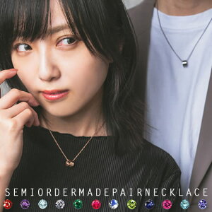 yAlbNX l Z~I[_[Ch 003N-KS-BKPK * a  󖳗 Vo[ lbNX y_g Vo[925 ގ ޏ yAbN uh Vv fUC LO L