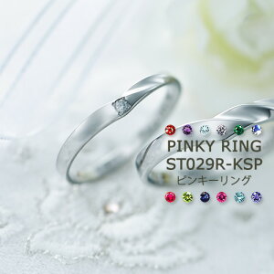 w XeX sL[O 󖳗 1234`30Ή ST029R-KSP-L*  AM[t[ Z~I[_[Ch T[WJXeX316L Pi w a LO 