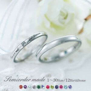 w }bWO yAO t@bVO uC_WG[ T[WJXeX316L  v ̓ ̓ AM[t[ Z~I[_[Ch ST012R-KS* a 1