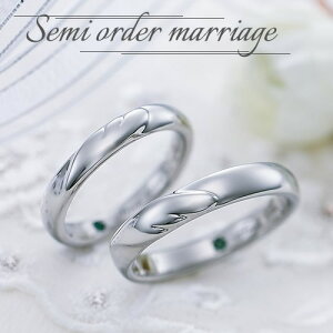 w }bWO yAO t@bVO uC_WG[ T[WJXeX316L  v ̓ ̓ AM[t[ Z~I[_[Ch ST100R-KS* a 1