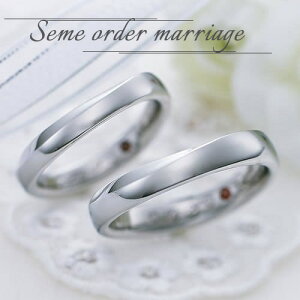 w }bWO yAO t@bVO uC_WG[ T[WJXeX316L  v ̓ ̓ AM[t[ Z~I[_[Ch ST105R-KS* a 1