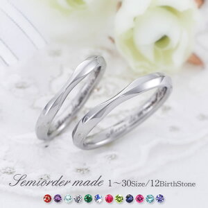 w }bWO yAO t@bVO uC_WG[ T[WJXeX316L  v ̓ ̓ AM[t[ Z~I[_[Ch ST109R-KS* a 1