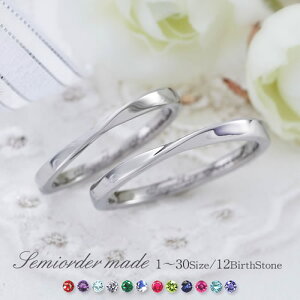 w }bWO yAO t@bVO uC_WG[ T[WJXeX316L  v ̓ ̓ AM[t[ Z~I[_[Ch ST111R-KS* a 1