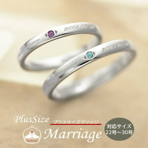 30 w̑lK 傫TCY̌w w߂̃yAO ZJh}bW Ή Big 傫߃TCY 28 29 󖳗 012R-KS * w  fB[X Z~I[_[Ch yA
