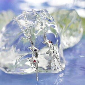 yAlbNX l  a Vo[ Friend Dolphins Love Story FRIEND-DOLPHIN (FISS-^) CJ CjV yA lbNX y_g I ޏ ގ yAbN LO a Mtg 2 