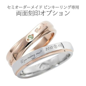 Z~I[_[sL[O p ʍ IvVT[rX