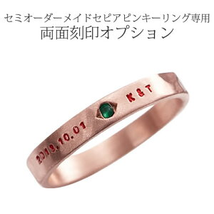 Z~I[_[sL[O ZsA p ʍ IvVT[rX