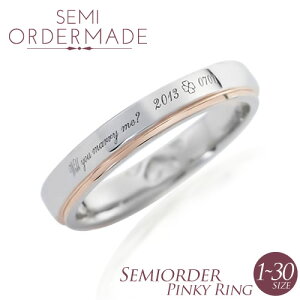 sL[O sNS[h 󖳗 1`30 015R-KPi * Vo[ Z~I[_[Ch  fB[X w t@WO ~fBO d˂Â 킢 v[g ؚ V